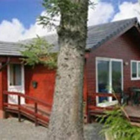 Heron Lodge, Edge Of Mabie Forest 邓弗里斯 外观 照片