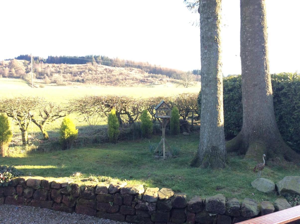 Heron Lodge, Edge Of Mabie Forest 邓弗里斯 外观 照片