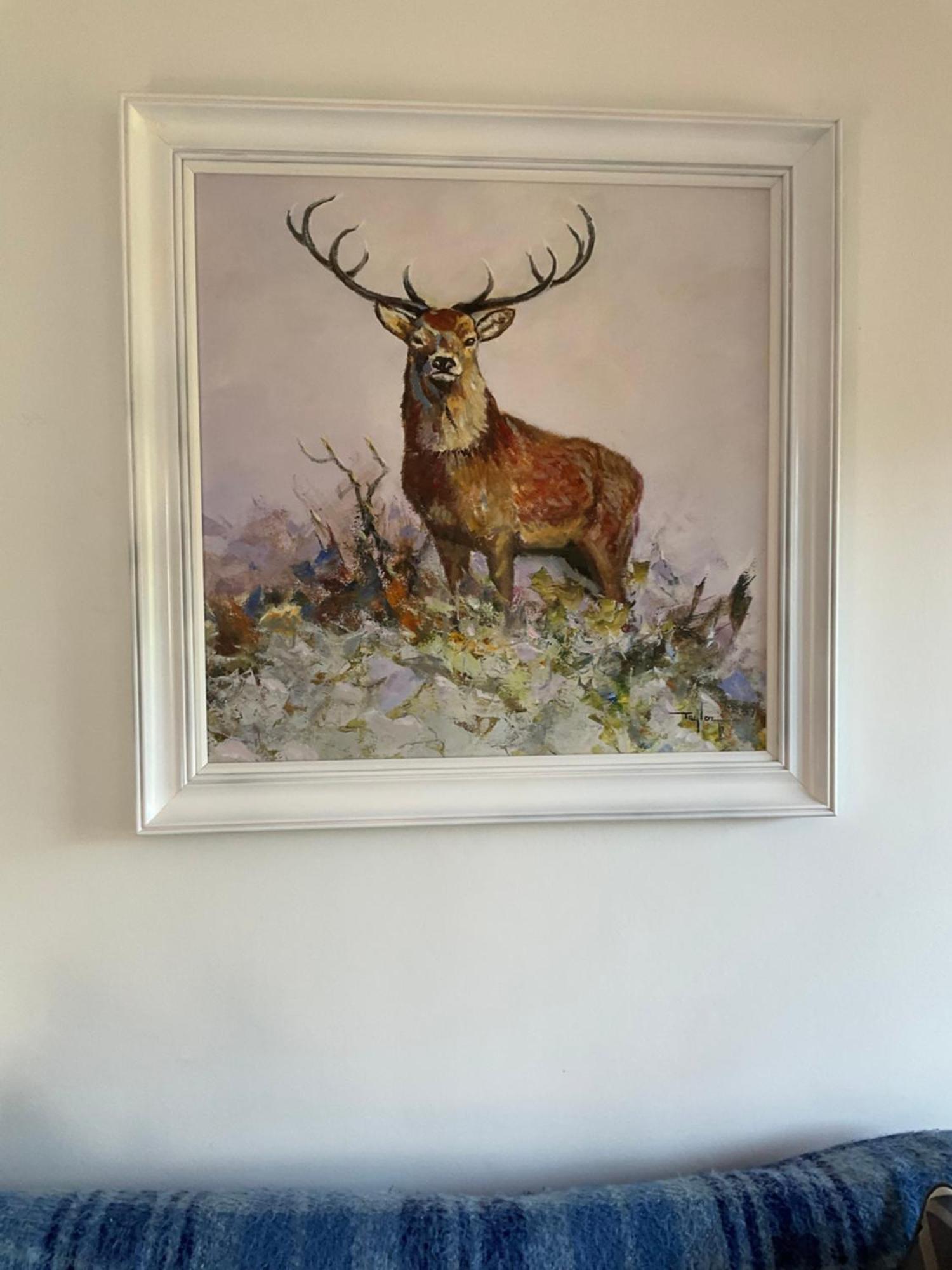 Heron Lodge, Edge Of Mabie Forest 邓弗里斯 外观 照片